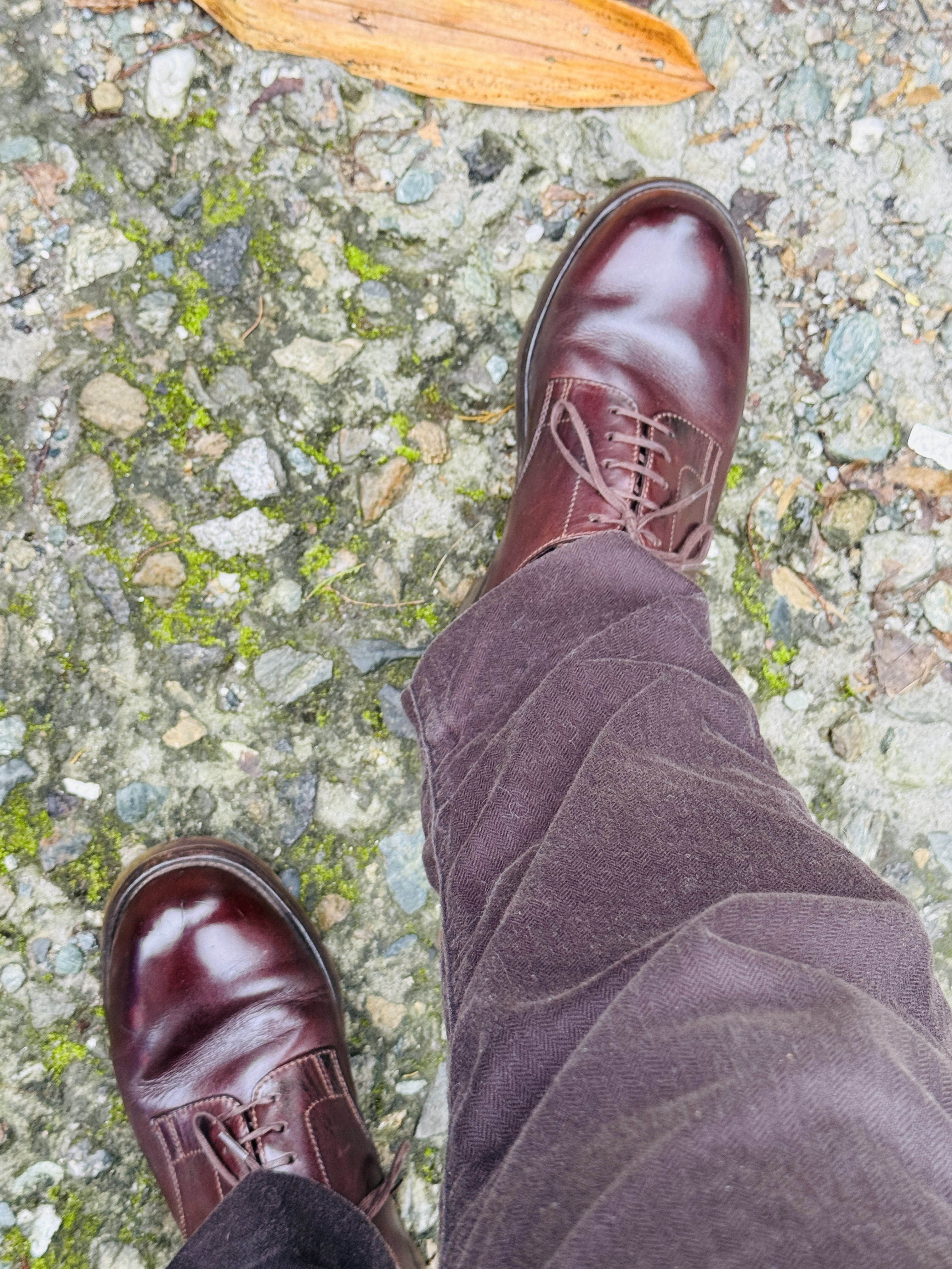 JM Weston plain toe blucher